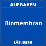 Biomembran Aufgaben PDF