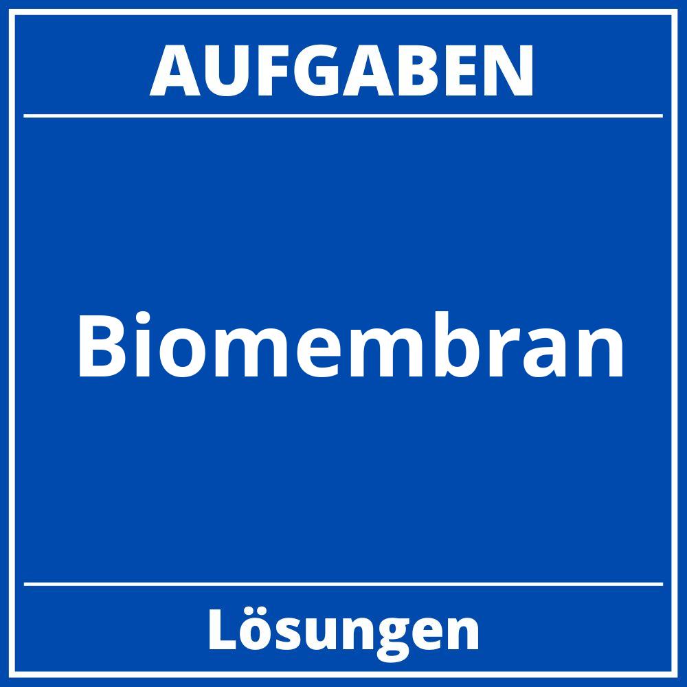Biomembran Aufgaben