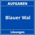 Blauer Wal Aufgaben PDF