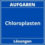 Aufgaben Chloroplasten PDF