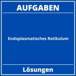 Aufgaben Endoplasmatisches Retikulum PDF