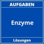 Enzyme Aufgaben PDF
