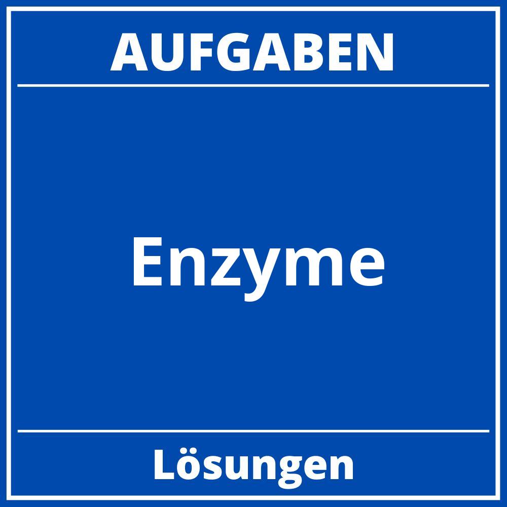 Enzyme Aufgaben