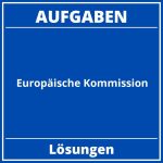 Europäische Kommission Aufgaben PDF