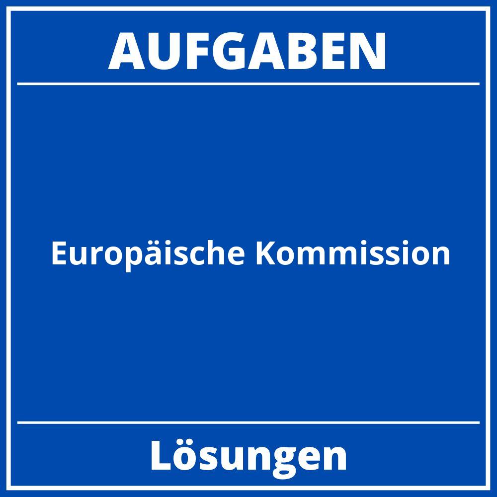 Europäische Kommission Aufgaben