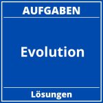 Evolution Aufgaben PDF