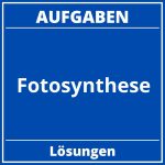 Fotosynthese Aufgaben Lösungen PDF