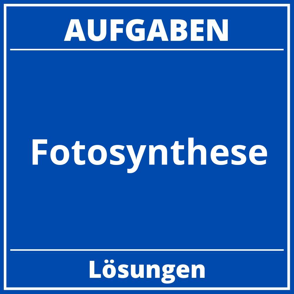 Fotosynthese Aufgaben Lösungen