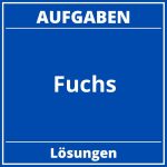 Aufgaben Fuchs PDF
