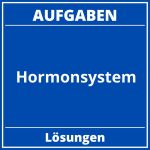Aufgaben Hormonsystem PDF