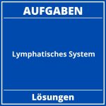 Lymphatisches System Aufgaben PDF