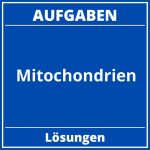 Aufgaben Der Mitochondrien PDF