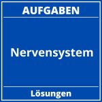 Aufgaben Nervensystem PDF
