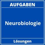 Neurobiologie Aufgaben PDF