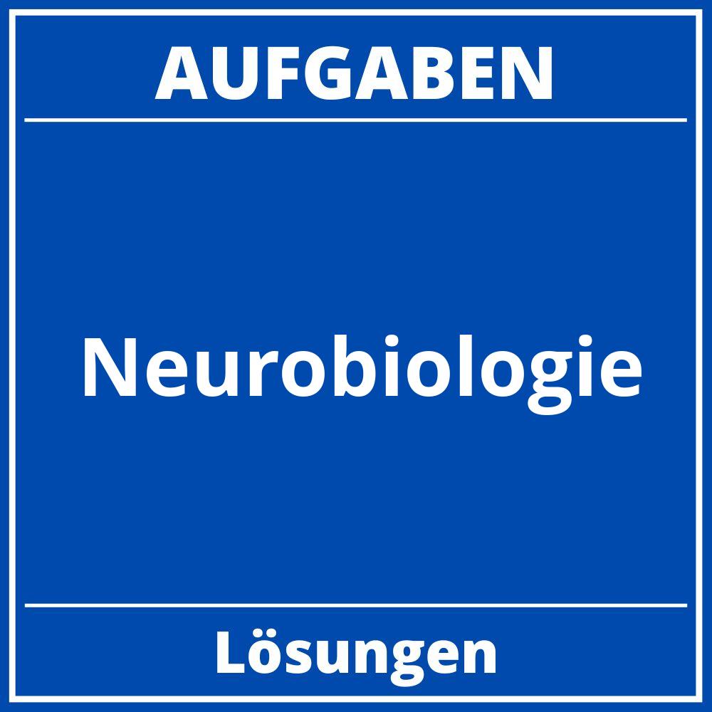 Neurobiologie Aufgaben