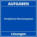 Peripheres Nervensystem Aufgaben PDF