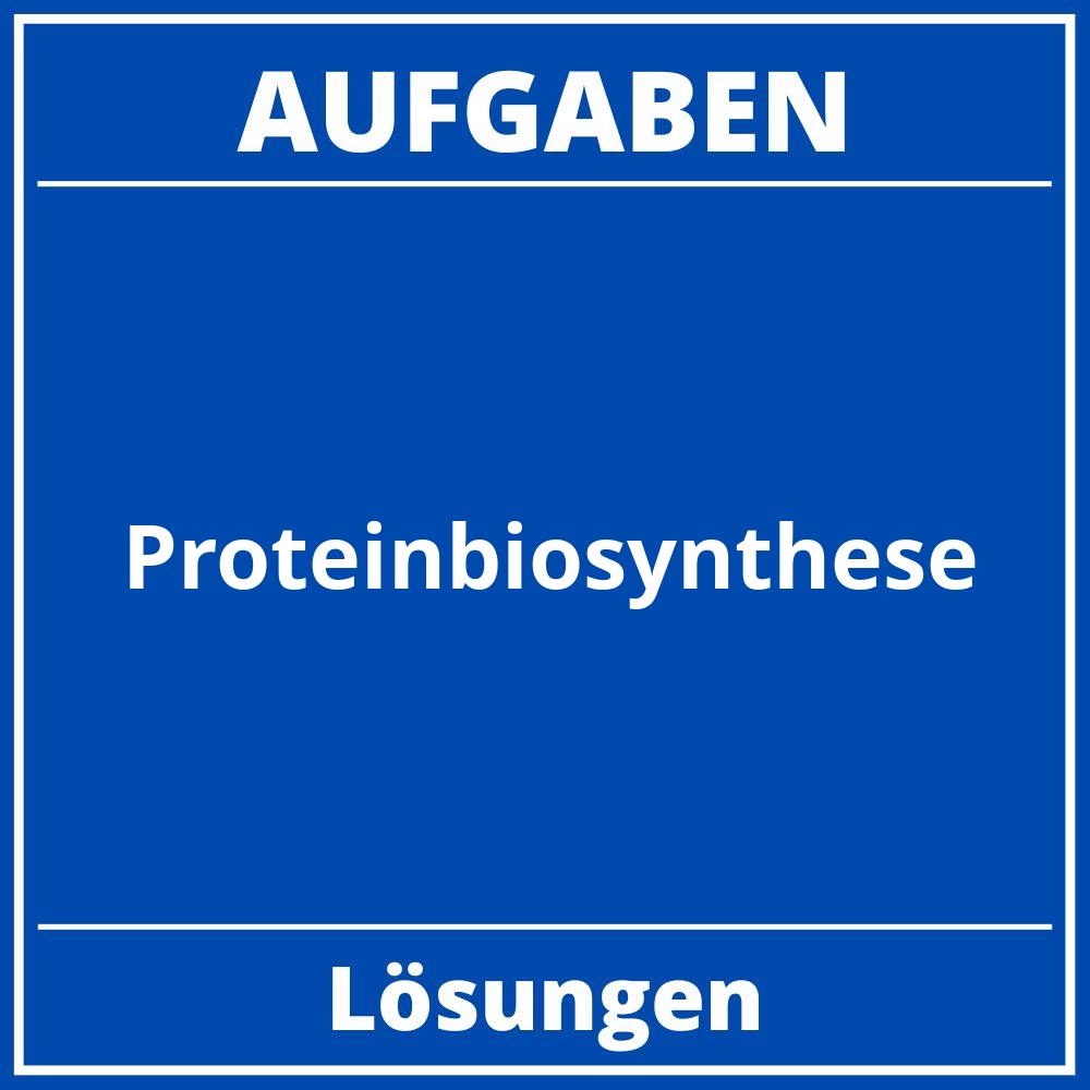 Proteinbiosynthese Aufgaben