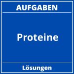 Proteine Aufgaben PDF