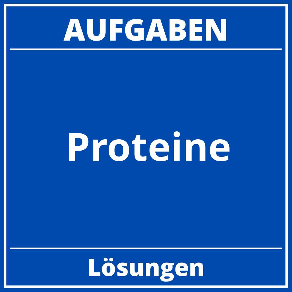 Proteine Aufgaben