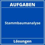 Stammbaumanalyse Aufgaben PDF